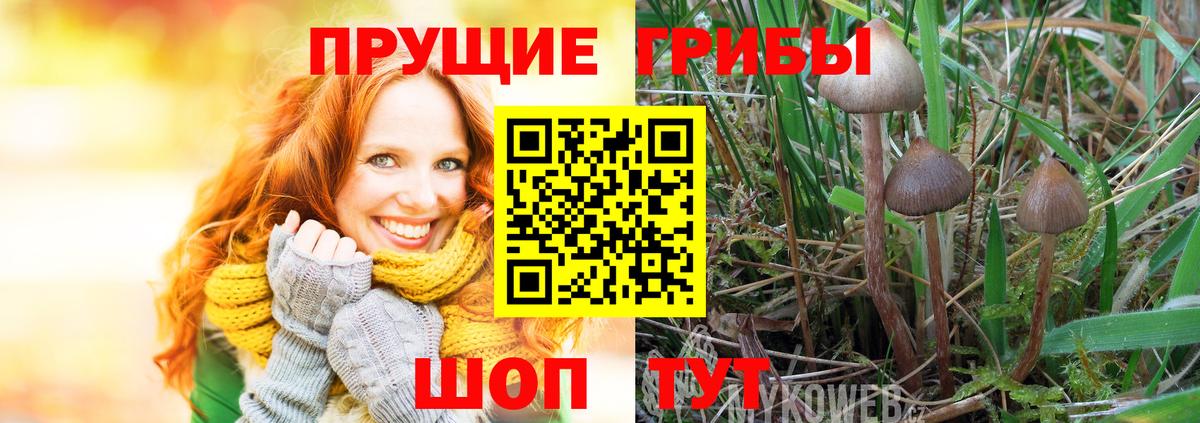 Псилоцибиновые грибы Cubensis  Вход с VPN  дарнет шоп  Егорьевск 