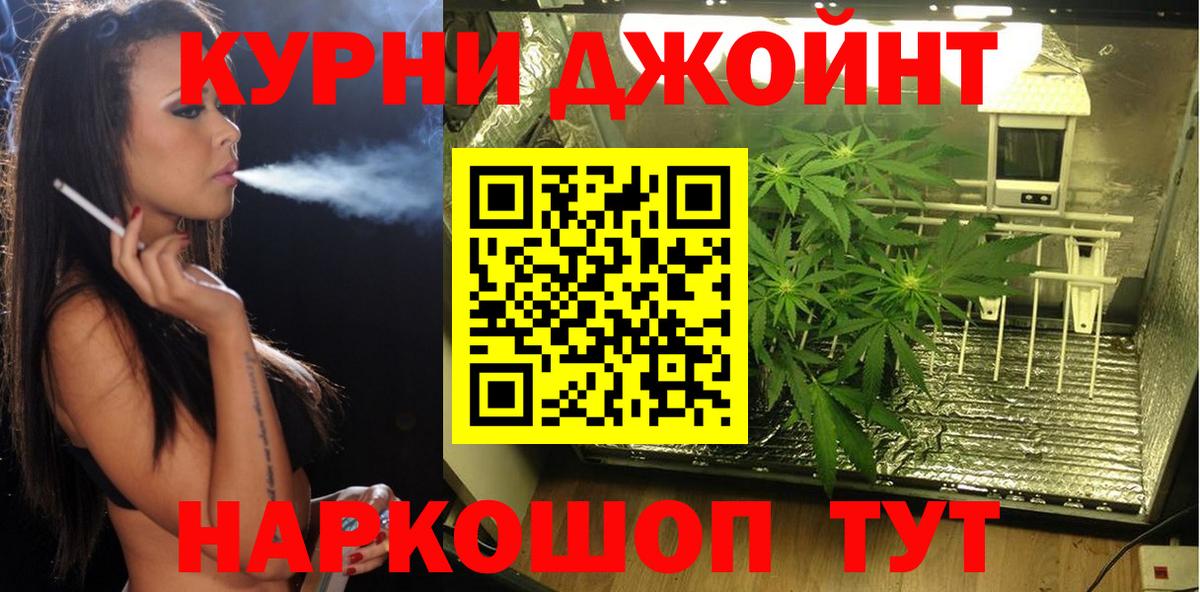 Егорьевск  МАРИХУАНА сатива  Вход с VPN  Бошки марихуана гибрид  МАРИХУАНА MAZAR 